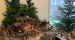 08 Communio-25.12.2019-Halm.jpg