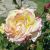 L1050320web.jpg